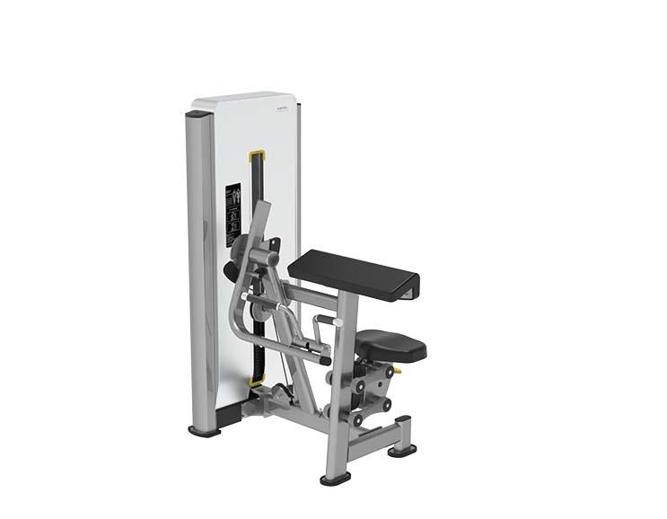 E1710 Biceps Curl