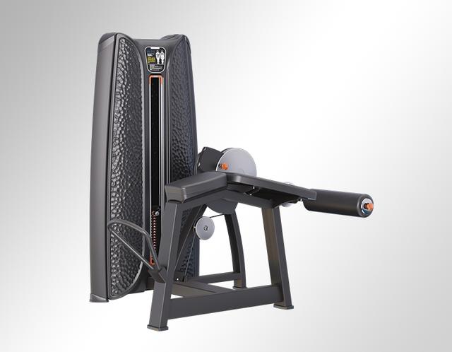 E3737 Preacher Curl Rack-4