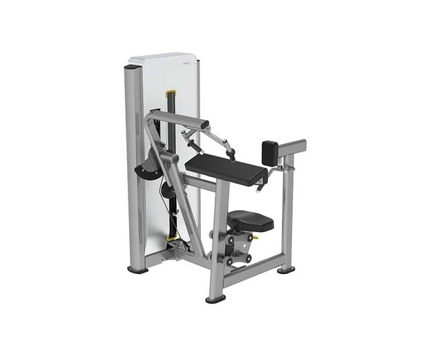 E1712 Triceps Extension-1