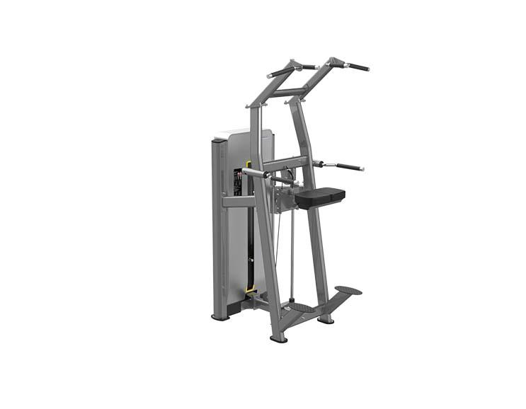 E1716A Assisted Chin/Dip