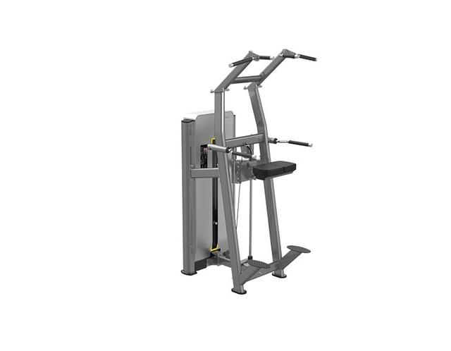 E1716A Assisted Chin/Dip-1