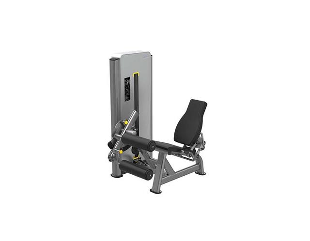 E1725 Seated Leg Curl-1