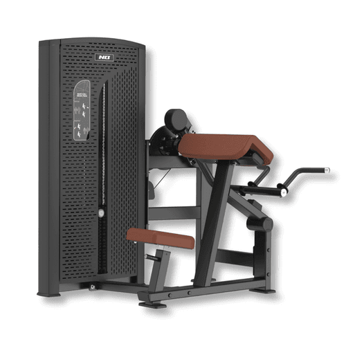 EX T22 Triceps Curl / Triceps Press